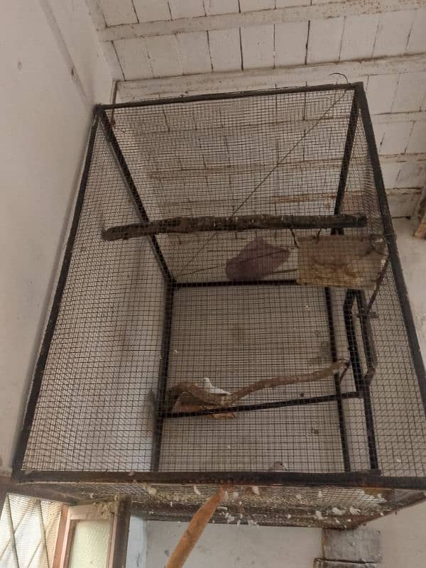 pigeon cage duck for sale 6