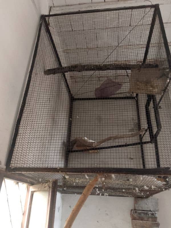 pigeon cage duck for sale 7