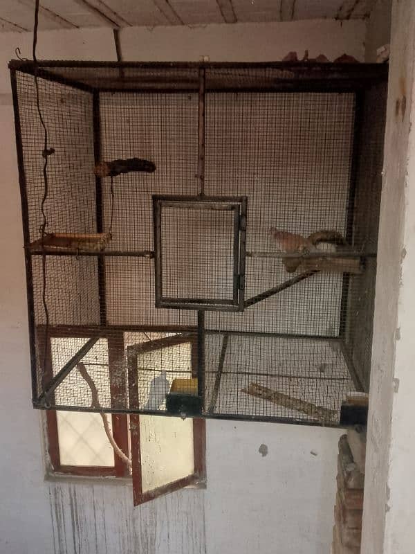 pigeon cage duck for sale 10