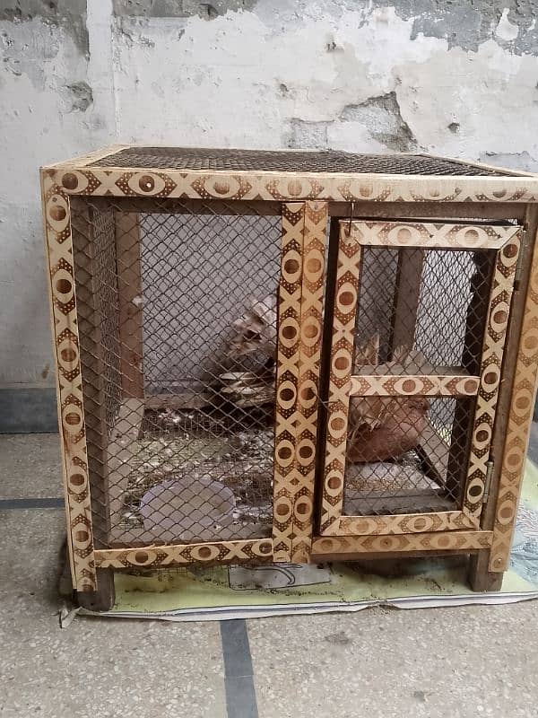 pigeon cage duck for sale 13