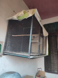 parrot cage