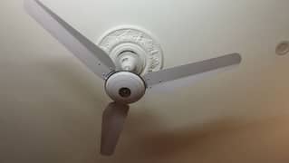 PAK FAN Ceiling Fans (Quantity:10] for Sale in Media town