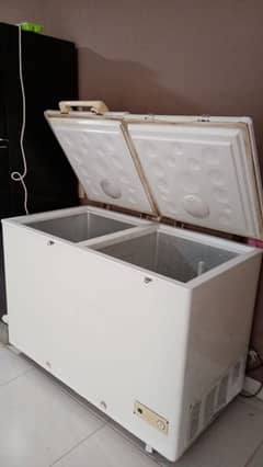 Haier 2 door full size deep-freezer