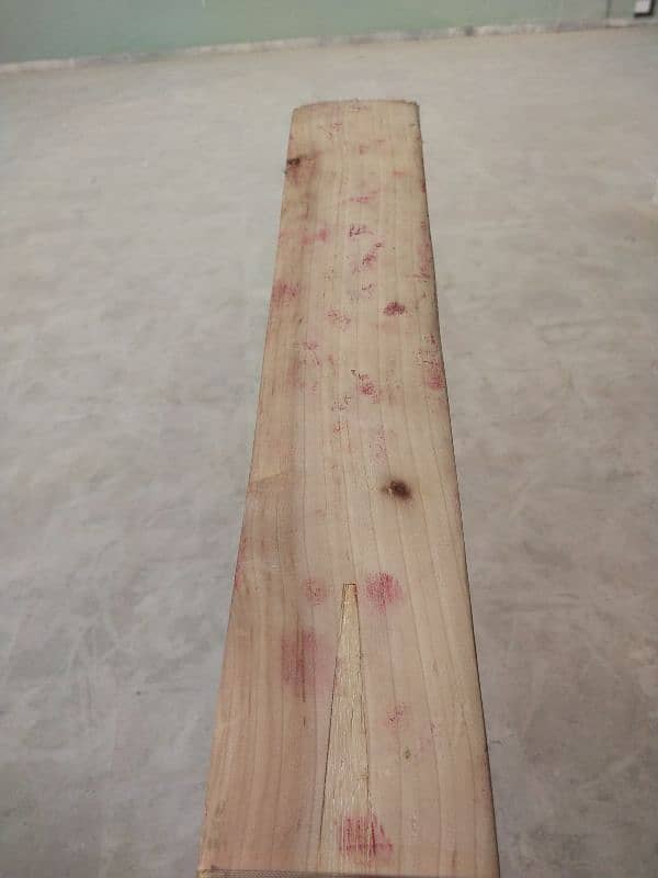 hard ball cricket bat 0