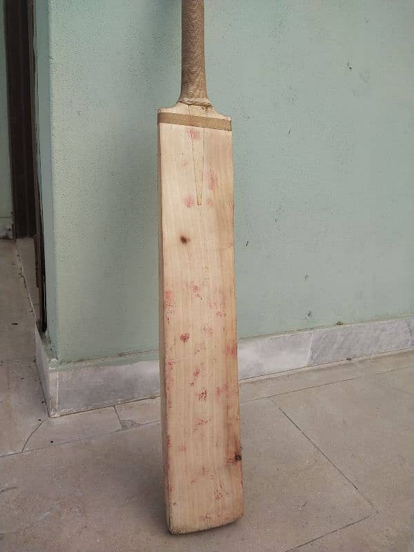 hard ball cricket bat 7