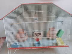 birds cage in new condition