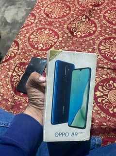 oppo A9    8/128 gb pta approved