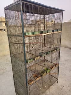 Birds Cages 12 portion