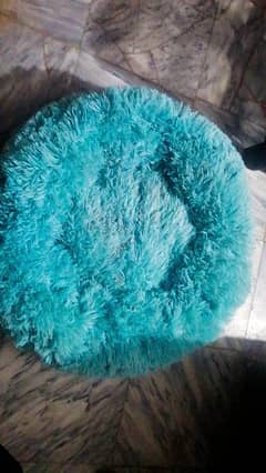 cat pillow, soft and comfortable, in sky blue