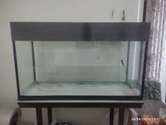 Fish Aquarium Big Size