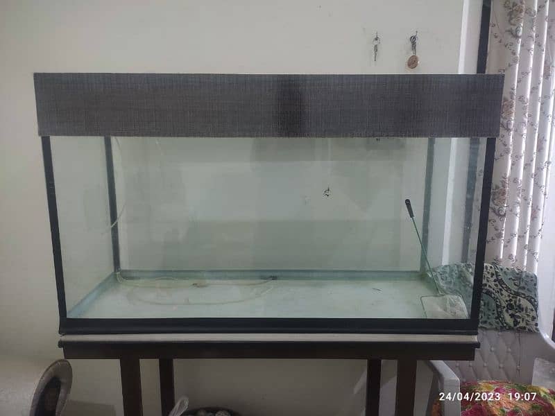 Fish Aquarium Big Size 0