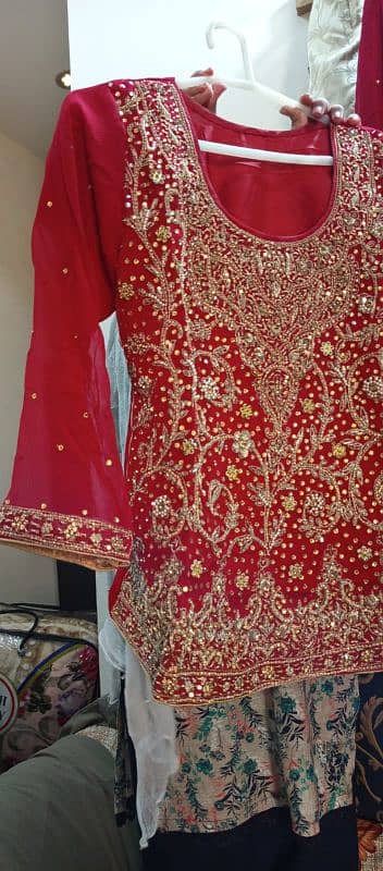 bridle lehnga 14