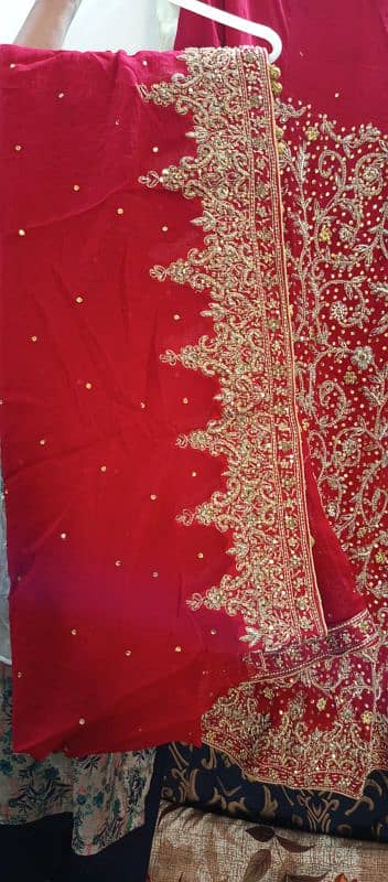 bridle lehnga 15