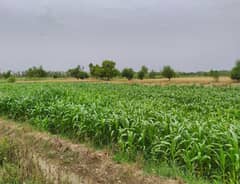 Ideal 30 Acre Agriculture For Sale Near Satiana Bangla