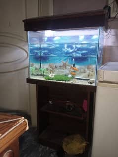 Aquarium sett with water air pump and 11 fishes for sale