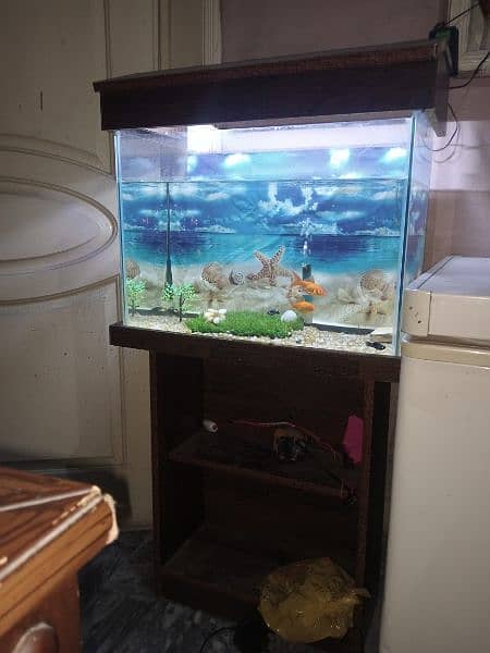 Aquarium sett with water air pump and 11 fishes for sale 0