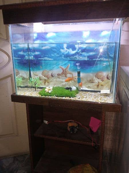 Aquarium sett with water air pump and 11 fishes for sale 1