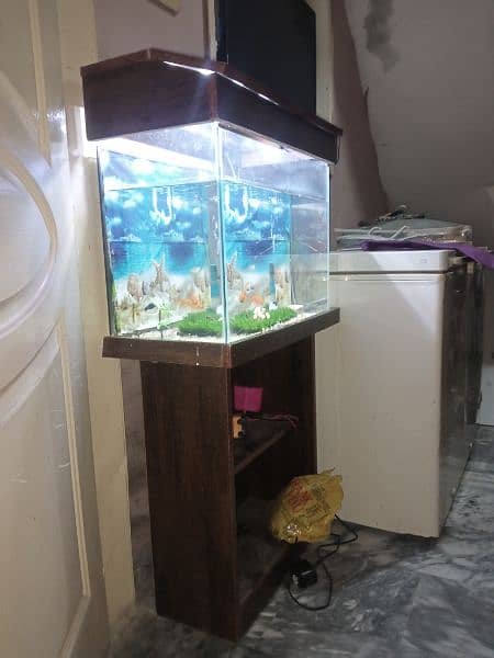 Aquarium sett with water air pump and 11 fishes for sale 2