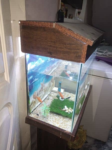 Aquarium sett with water air pump and 11 fishes for sale 3