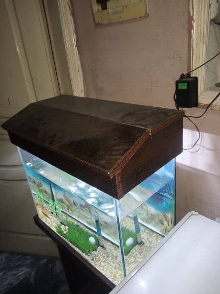 Aquarium sett with water air pump and 11 fishes for sale 4