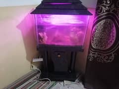 Aquarium For sale