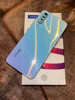 vivo