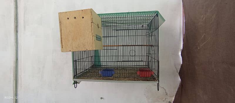 Cage,box,Breader pair ready to bread healthy and active 1