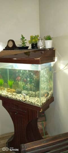 fish aquarium,2 fishes and stones and read description