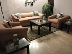 sofa set and table set (3)