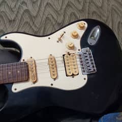 Fender