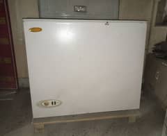 Waves Single Door Deep Freezer For Sale ( New Condition )