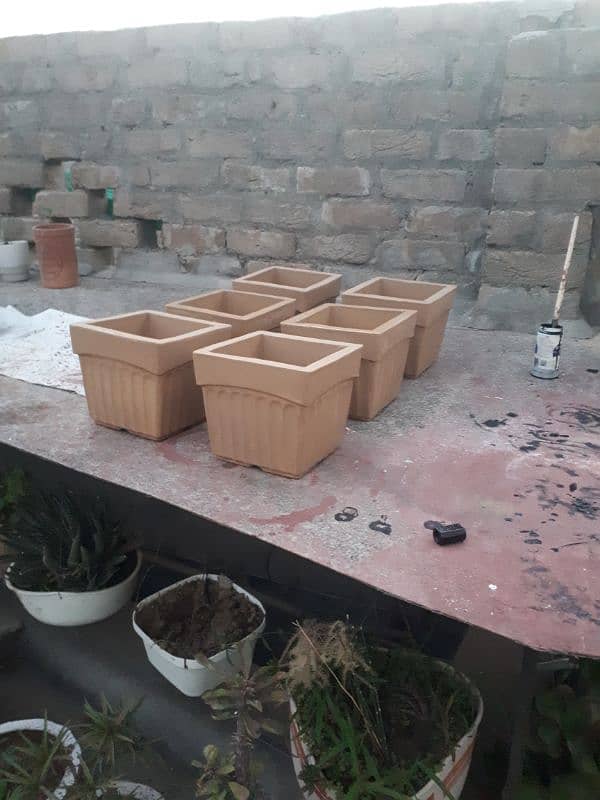 Pots for cactus lovers etc plant  Looks Good vintage Style 7