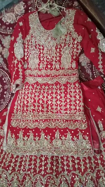 Bridal Lehnga 3