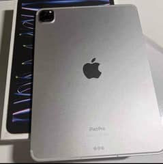 iPad Pro M2 256 GB