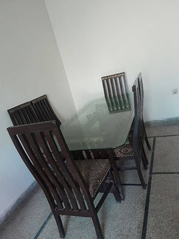 6 chairs solid dining table solid glass stylish 1