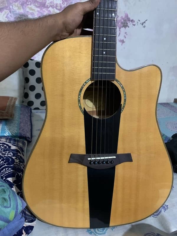 taylor wood guitar 2