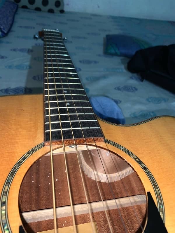 taylor wood guitar 5