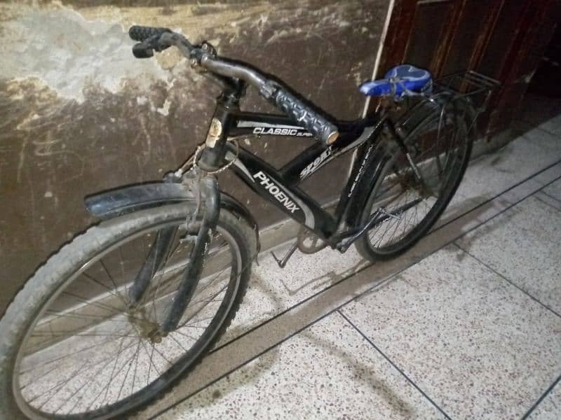 Phoenix bicycle for sale 1