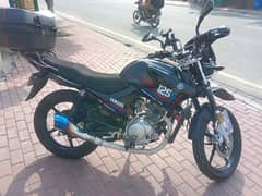 YAMAHA YBR125 G 2023