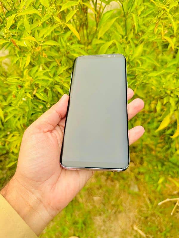 Samsung S8plus doted 6