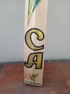 CA 15000 plus limited edition hard ball bat