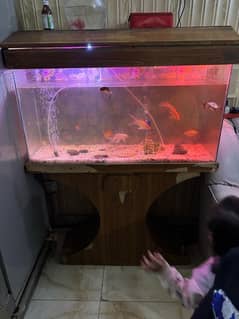 fish aquarium for sale full size with fish