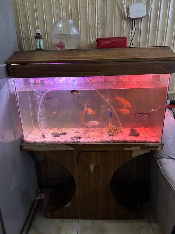 fish aquarium for sale full size with fish 2