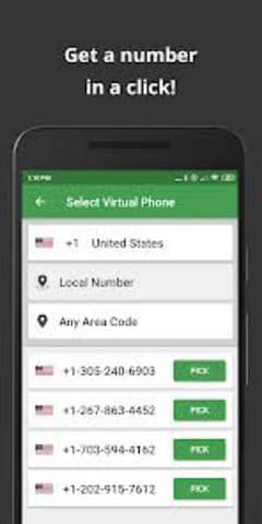 United State WhatsApp Number