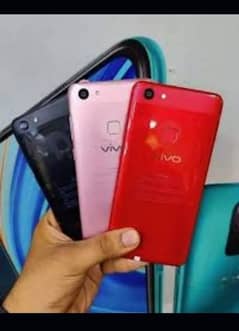 Vivo