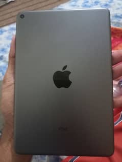 ipad mini 5