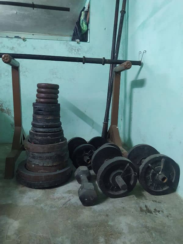 Bench Press, Flying Press, Push up, Curling, dumbbells, Rods, weight 2