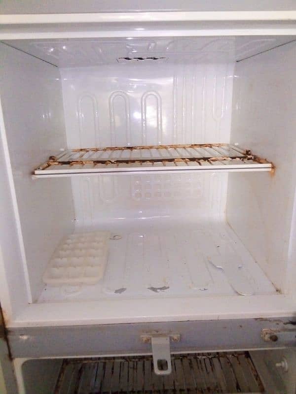 Pel Refrigerator 1