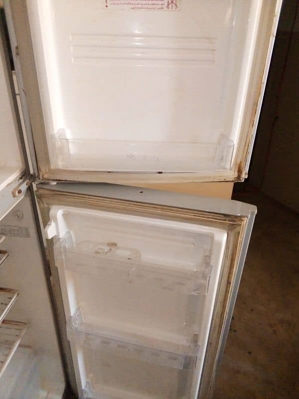 Pel Refrigerator 3