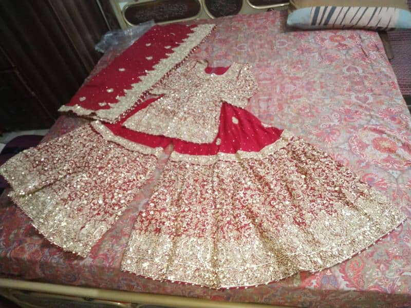 gharara. shirt. duparta pars  handwork. looking soooo beautiful 0